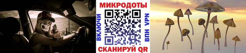 где купить наркоту  Гуково  Галлюциногенные грибы Magic Shrooms 
